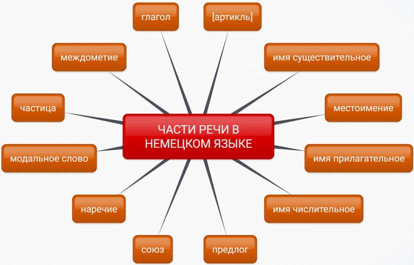 Особенности имен существительных в немецком языке